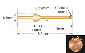 プリザーフロマイクロシャントスライド7